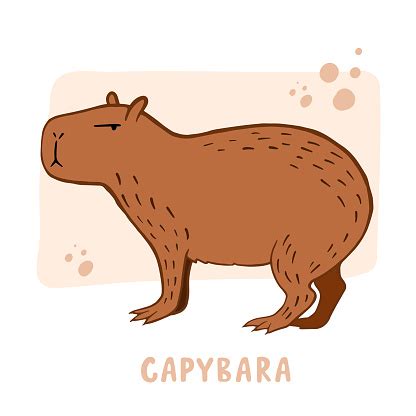 capibara dibujo-4